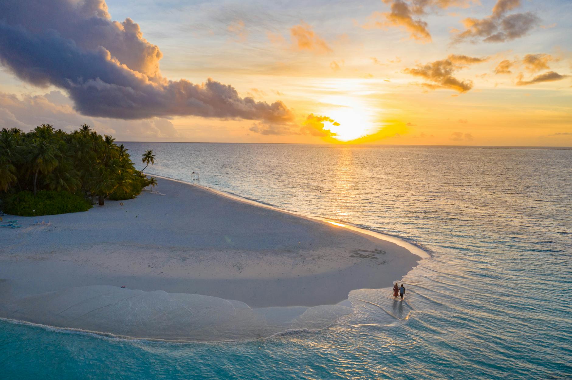 people on beach during sunset